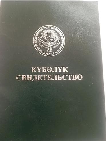 участок селхоз: 200 соток, Для сельского хозяйства — 1