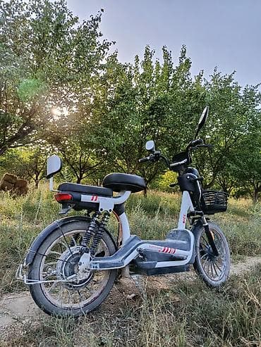ск шерой: Электровелосипед/электроскутер «SUPER BIKE» (белый) - Компоновка — 3