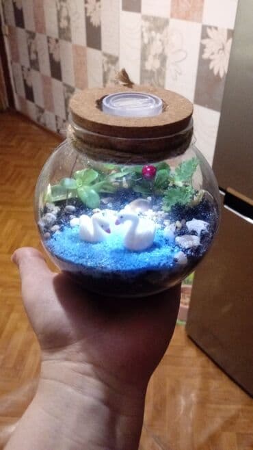 купить аквариум для рыбок недорого: Флорариумы на заказ. Идеальный и необычный подарок. Хотите удивить — 3