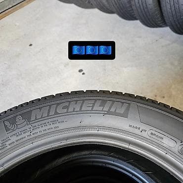 шины 2056016: Шины 195 / 55 / R 16, Лето, Комплект, Легковые, Michelin — 3