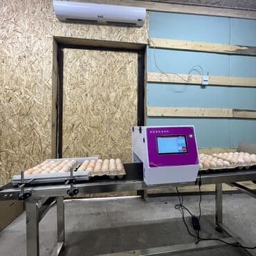 кола цена бишкек: Приглашаем к сотрудничеству торговые павильоны кондитерские цеха — 2