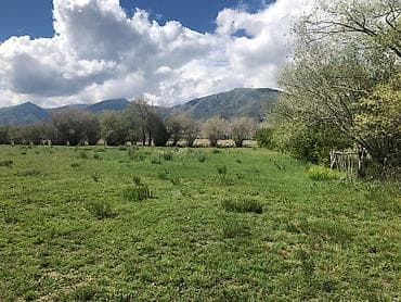 яблоневый сад: 50 соток, Для сельского хозяйства, Красная книга — 7