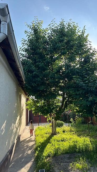 дом кант: Бишкек шаарынын Ала Тоо конушунан беш болмолуу времянкасы менен уй — 6