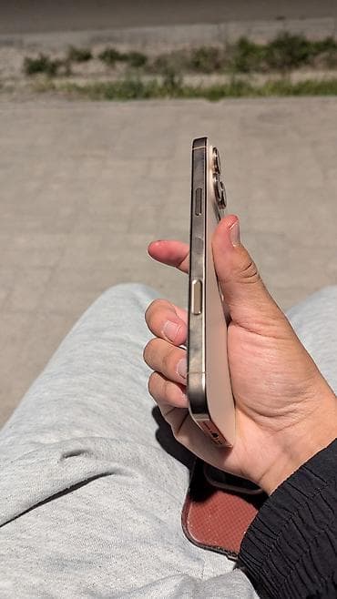 iphone 10 pro: IPhone 16 Pro Max, 256 ГБ, Matte Gold, Чехол, Коробка, 99 % — 4