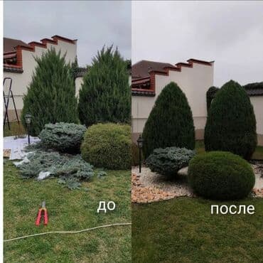 ишу работу охрана: Поссев газон✓ Посадка цветов ✓ Посадка декоративных растений ✓ — 7