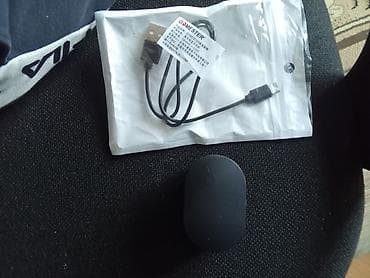 Беспроводные наушники-вкладыши с зарядным кейсом - Форм-фактор