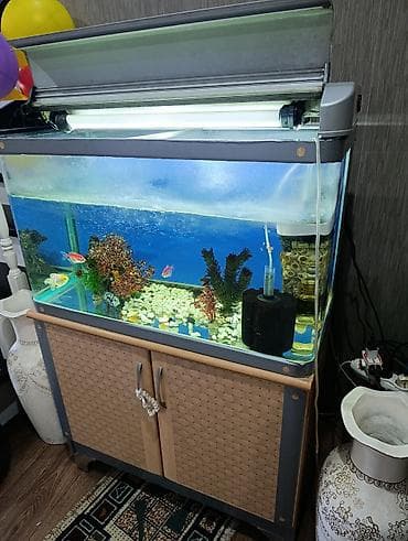 аквариумы с рыбками: Заводской аквариумный комплект на тумбе со всеми оборудованиямии — 4