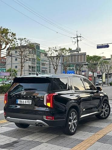 range river: Hyundai Palisade: 2020 г., 2.2 л, Автомат, Дизель, Внедорожник — 6