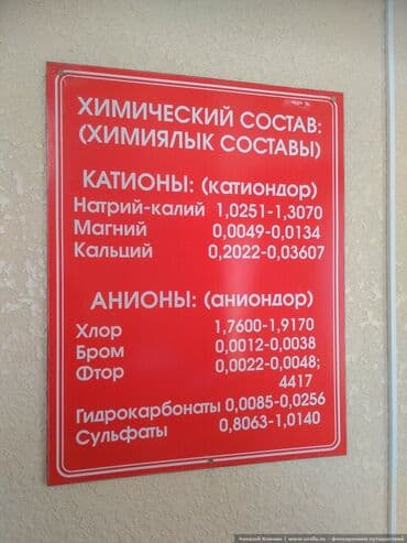 продаю дом восточный автокзал: 40 соток, Для бизнеса, Красная книга — 3