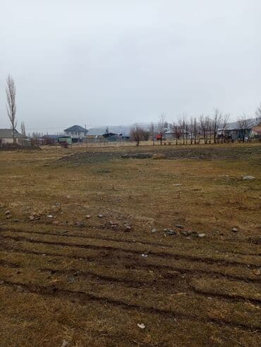 Куплю участоккуплю участок до 40 тысяч долларов at lalafo.kg Куплю участоккуплю участок до 40 тысяч долларов