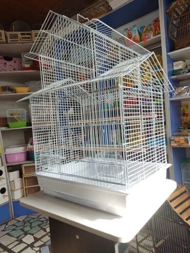 вольер: Вольеры для птиц! — 10