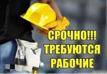 с работой: Требуется Разнорабочий на производство, Оплата Дважды в месяц, Без опыта — 1