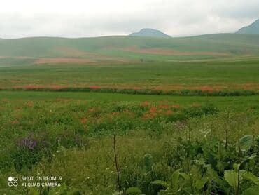 дом на день рождения: 25 соток, Для бизнеса, Красная книга, Тех паспорт, Договор купли-продажи — 9