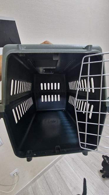 scottish fold: Переноска для кошек и небольших собак Прочная пластиковая переноска с — 4