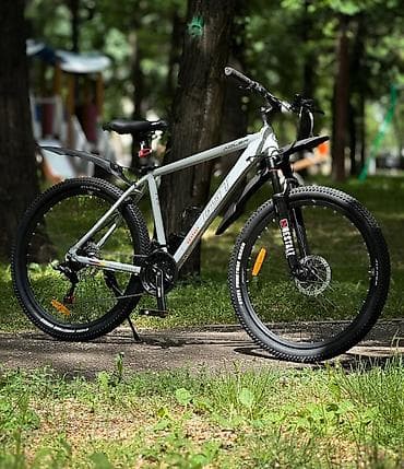Велосипеддер: Тоо велосипеди, Велосипед алкагы XL (180 - 195 см), Болот, Колдонулган — 1