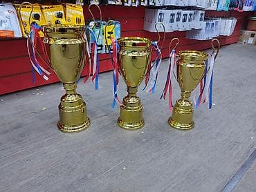 кубки: Кубок Лига Чемпионов!!!
Железный
А.(42см) 
В.(37см) 
С.(32см) — 2
