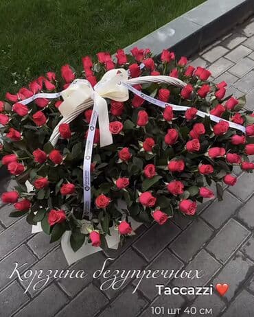 воздушные шарики бишкек цена: СРОЧНО ПРОДАЮ ЦВЕТЫ TACCAZZI Цена: 6000, если сразу купите есть — 1