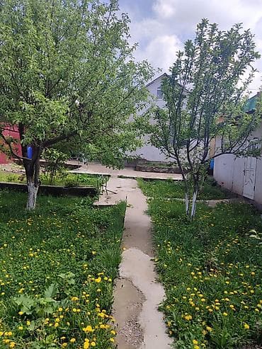 мелкий ремонт дома: Продается дача в горном ветерке или таштар Ата. дом 80 кв. утеплённый — 4