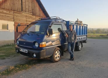 Легкий грузовик, Hyundai, Стандарт