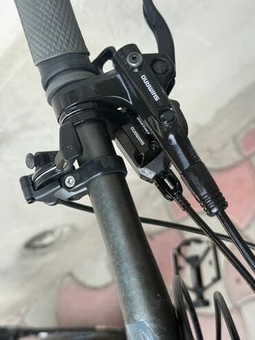 купить трехколесный электровелосипед для взрослых бу: Из Германии — 12