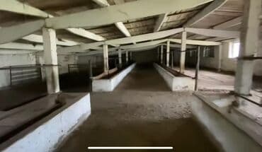 продажа земли сельскохозяйственного назначения: 140 соток, Для сельского хозяйства, Красная книга — 6