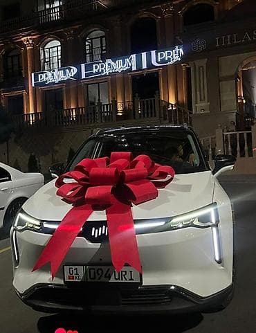 бошь: 🚗✨ Авто бантик арендага! Сиздин өзгөчө күнүңүздү дагы да кооз кылып — 1