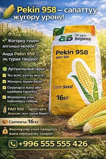 оптовые цены на продукты бишкек: Семена кукурузы №5 «Тяньшань» (из Китая) Назначение: - Подходят для — 3