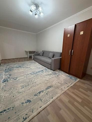 120: 1 комната, 40 м², ул. Огонбаева / Гоголя 104 серия, 1 этаж, Евроремонт — 9
