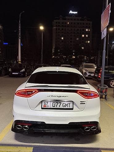подсветки для машины: Kia Stinger: 2017 г., 3.3 л, Автомат, Бензин, Лифтбек — 9