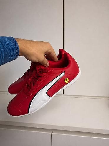 Мужская обувь: Кроссовки Puma x Scuderia Ferrari - Модель: 308058-02 (по ярлыку) - — 1