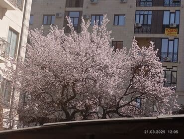 телевизор прокат: Установка антенн любого типа, диагностика и настройка телеканалов — 2