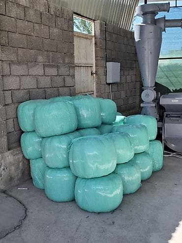 Үй жаныбарлары: Продажа 🌽✅Силос в индивидуальных рулонах в плёнке - Корм в — 2