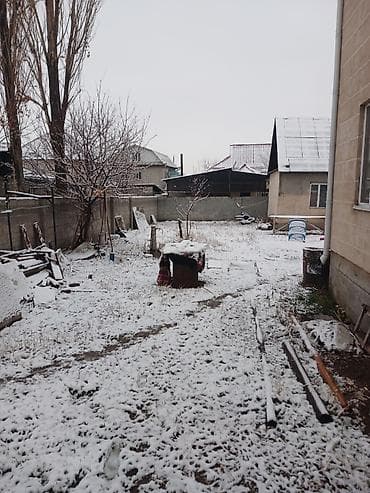 Жер тилкелери: 5 соток, Кызыл китеп — 6