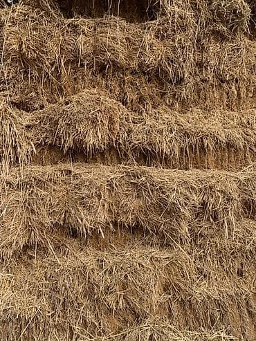 Животные: Соломенные тюки - Культура: зерновая солома (сухая, чистая, без — 2