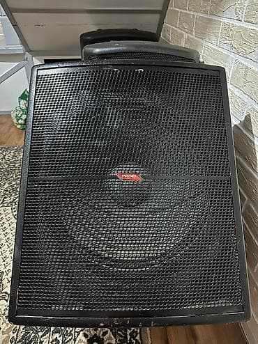 technics sb: PROEL EX15SA Активный сабвуфер: 15" woofer, 200Вт (RMS), 40Hz-160 — 3