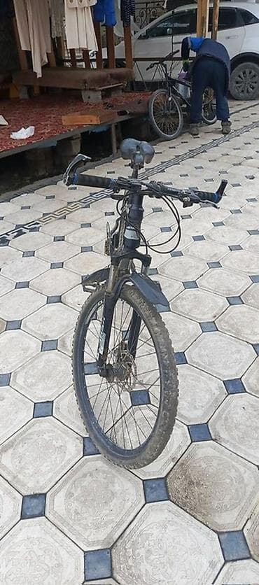 монети: Горный велосипед, Сталь — 5