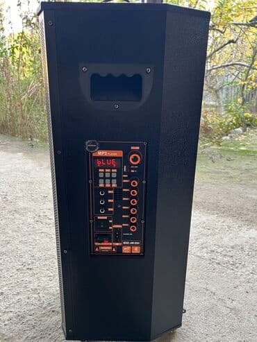 купить диктофон для скрытой записи: Аренда колонки подходит на все мероприятии звучит чисто и громко — 4