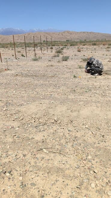 дом долгосрочная аренда: 20 соток, Айыл чарба үчүн, Кызыл китеп, Башкы ишеним кат — 10