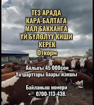 скотники: Требуется Скотник, Оплата: Сдельная — 1
