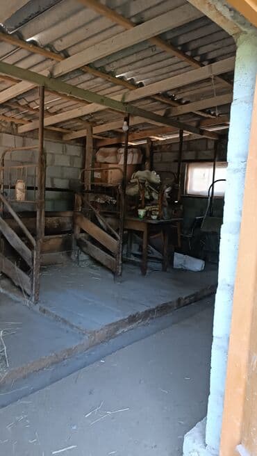 дом сары камыш: Дом, 85 м², 6 комнат, Собственник — 6