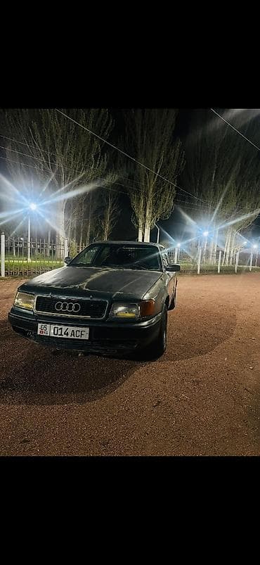 токмок кун чыгыш: Audi 100: 1992 г., 2 л, Кол менен иштөөчү, Бензин, Седан — 4