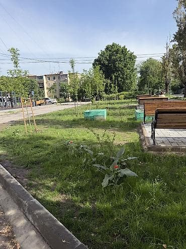 продаю квартиру жал: 1 комната, 34 м², 105 серия, 1 этаж, Косметический ремонт — 3