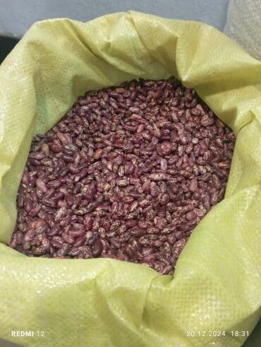 продам семена подсолнечника: Фасоль ташкентский — 2