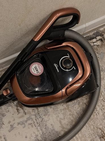 Пылесос, Стандартный