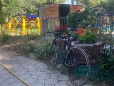 диски на rx: Городской велосипед, Рама M (156 - 178 см) — 8