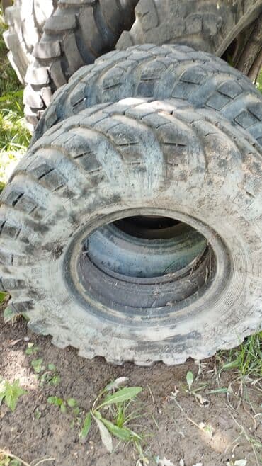 шины на спецтехнику: Продается покрышки на МТЗ-80,Т-40,Ешка, К-700 (Касемсот) — 1