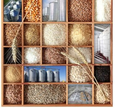 арпа продаю: Силос Сило Силас Зернохранилище Элеватор Элеваторы Элеватар Элеватары — 7