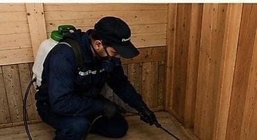 Услуги: Дезинфекция, дезинсекция, | Муравьи, | Квартиры — 10