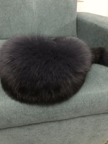 детские шапки с помпонами из натурального меха: Продаю новую шапку!Мех натуральный,писец.Цена 5000 сом — 1