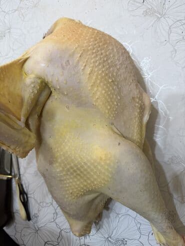 продаю яицо: Индюки, выращенные на выгуле. - Поголовье: самцы и самки, разные — 5